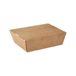 Take Away Box in Carta Kraft - Colore Avana - 16,8x15x4,5 cm - 50 Pezzi