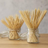 Spiedini in Bamboo - Leone - 15 cm - 100 Pezzi