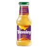 Salsa Curry - Develey - Curry con Curcuma - Bottiglia Vetro - 250 ml