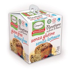 Panettone Giampaoli - Senza Glutine Senza Lattosio - Con Frutti di...