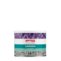 Fiore Lavanda - Fiori Decorativi - Montosco - Professional -...