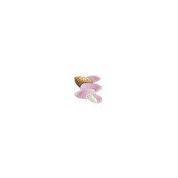 Confetti Maxtris - Avola Exclusive - Colore Rosa - 1 Kg