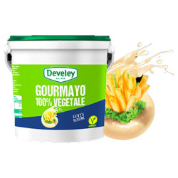 Salsa Maionese Senza Uova - Develey - Vegana - Gourmayo 100%...