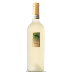 Vino Bianco - Feudi di San Gregorio - Campanaro - Fiano di Avellino...