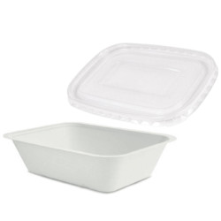 Vaschetta Compostabile Bagasse + Coperchio in Pet - 22 cm - 125 +...