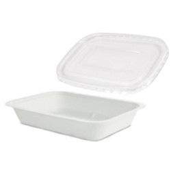 Vaschetta Compostabile Bagasse + Coperchio Vaschetta in Pet - 17 cm...