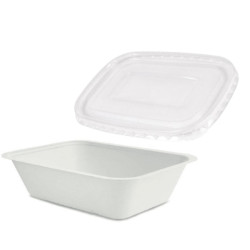 Vaschetta Compostabile Bagasse + Coperchio Vaschetta in Pet - 22 cm...