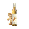 Sciroppo Odk - Gusto Gingerbread - Pan di Zenzero - Bottiglia Vetro - 750 ml