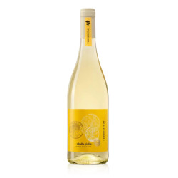 Vino Bianco - Terre di Rai - Ribolla Gialla - Venezia Giulia IGT -...