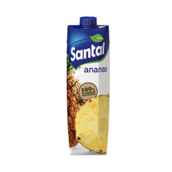 Succo di Frutta - Santal - Ananas - Brick da 1000 ml