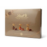 Confezione Regalo - Lindt - Tesori Nascosti - Cioccolatini Assortiti - 270 g